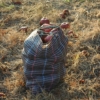 Thumbnail of related posts 045